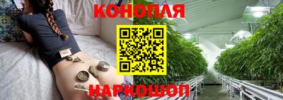 прущие крисы Аргун