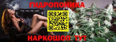 прущие крисы Аргун