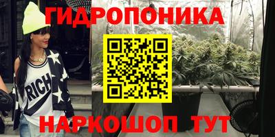 прущие крисы Аргун