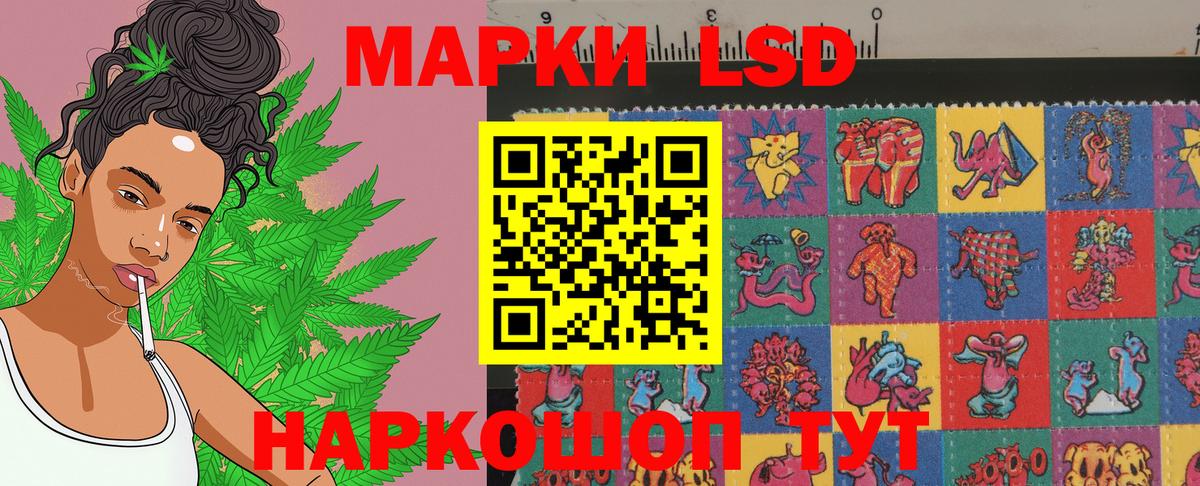 Бугульма  Наркотические марки 1,5мг  Наркотические марки  цена   Вход с VPN 