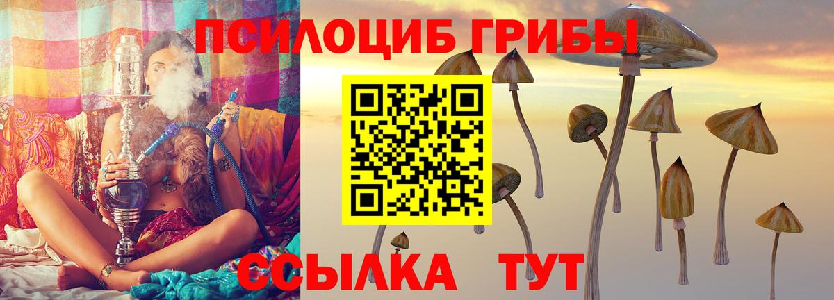 Бугульма  Псилоцибиновые грибы Cubensis  Вход с VPN 
